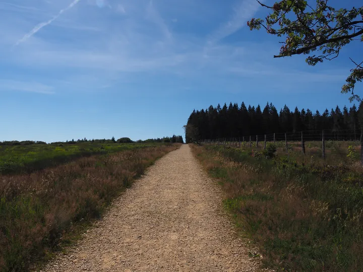 Signal de Botrange (Belgium)